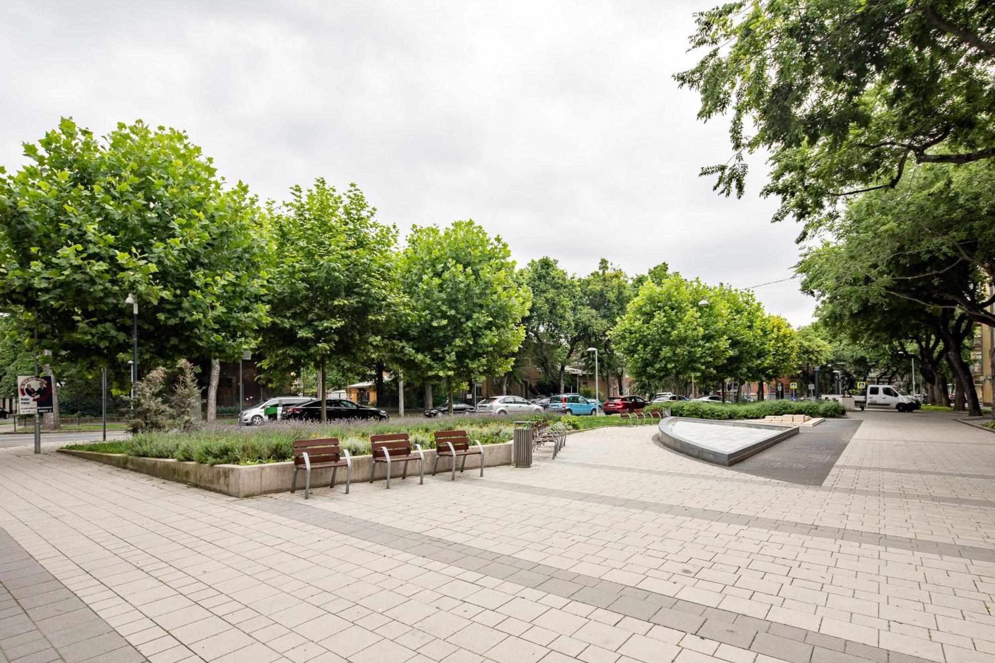 Apartmán Free Parking - - Quiet *